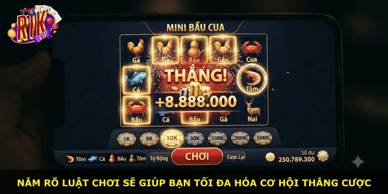Nắm rõ luật chơi sẽ giúp bạn tối đa hóa cơ hội thắng cược